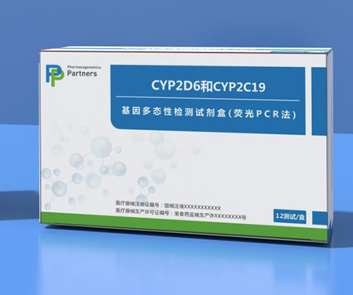 CYP2D6和CYP2C19基因多态性检测试剂盒